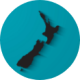 NZ Icon